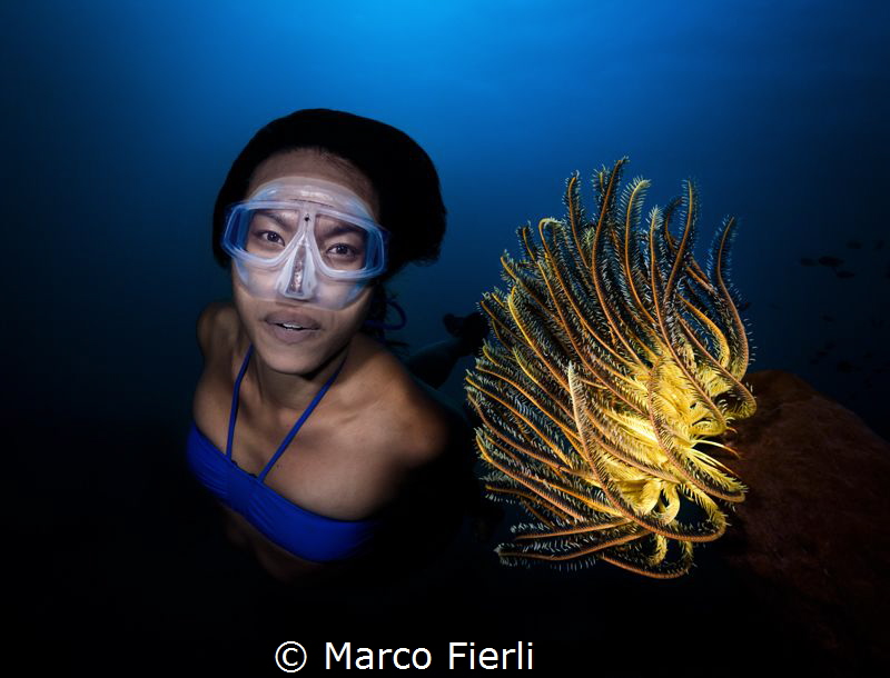 Ai Futaki
Guinness World Records for "The Longest Distan... by Marco Fierli 