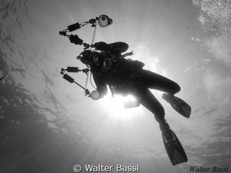 "Illuminated" by Walter Bassi 