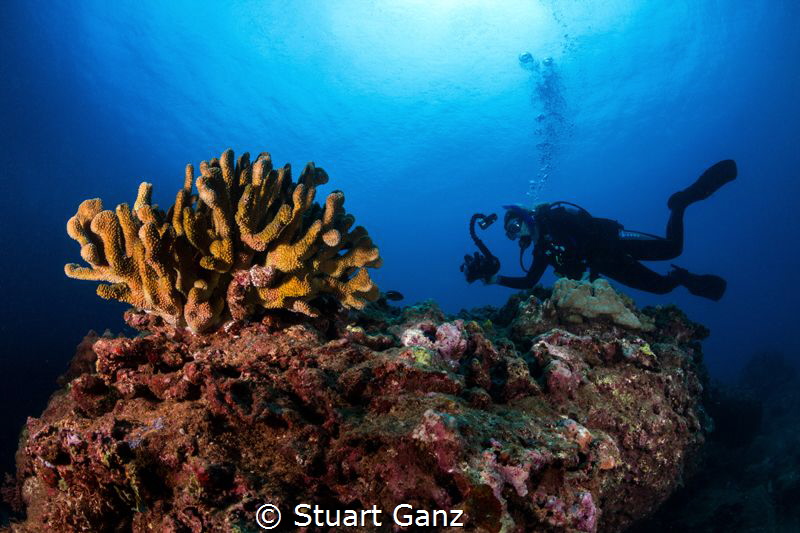Videographer at work by Stuart Ganz 