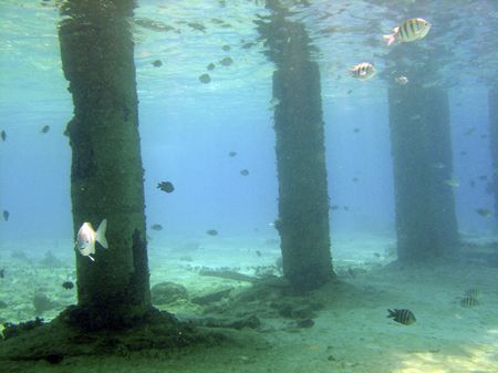Under the boardwalk... taken in Cozumel whilst waiting fo... by Ian Smith 