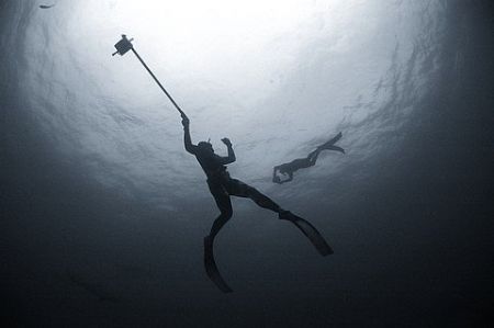 Underwater videographer Mike Wood keeping an eye out for ... by Roger Horrocks 