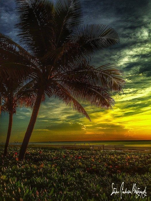 Early morning on a clean beach, sea air is good for the s... by Steven Anderson 