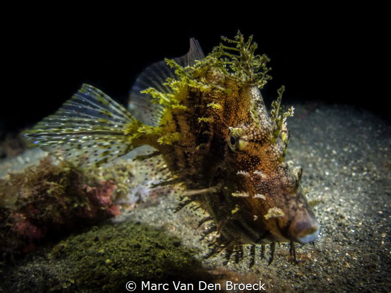 i am special by Marc Van Den Broeck 