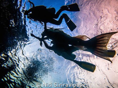 My little mermaid project by Niti Siriravipas 