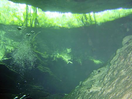 Cenote diving, Mexico by Ian Smith 