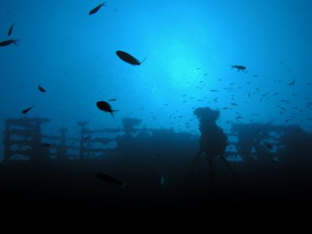 Totono wreck, near Dubrovnik, Italian ship sunk in WWII. ... by Eugen Miljan 