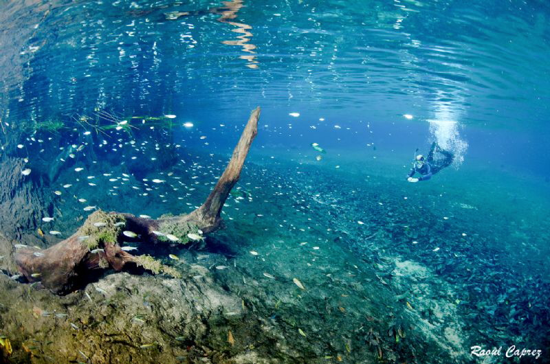 Olho d'Agua river by Raoul Caprez 