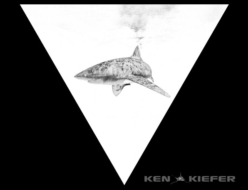 This image just felt angular, so I cropped it into a tria... by Ken Kiefer 