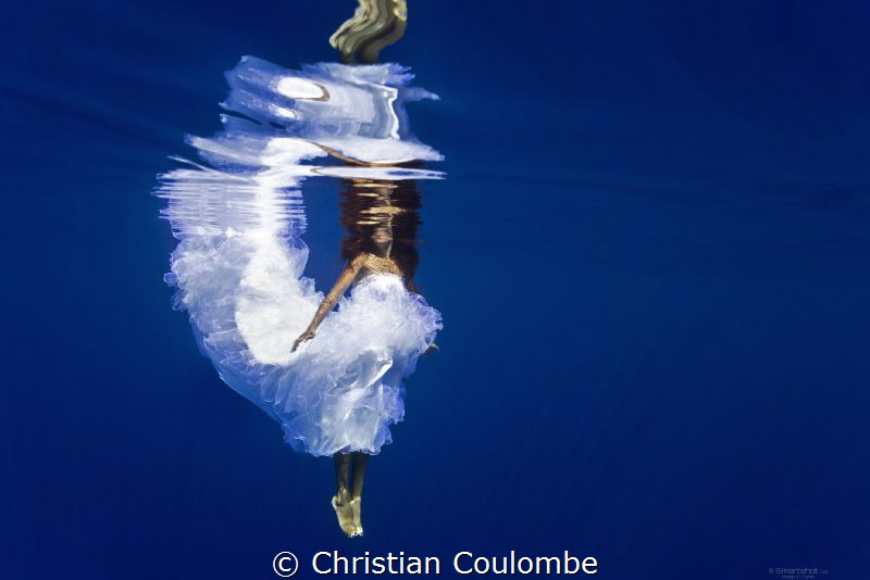 Mermaid Bride by Christian Coulombe 