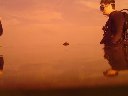 Dusk Diving by Ryan Stafford 