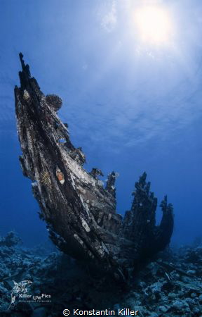 "Black Pearl"
Ort: Ägypten Marsa A. 2014 
Nikon D 300 +... by Konstantin Killer 