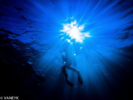 Looking up at a diver at Lady Elliott Island near Hervey ... by Bill Van Eyk 
