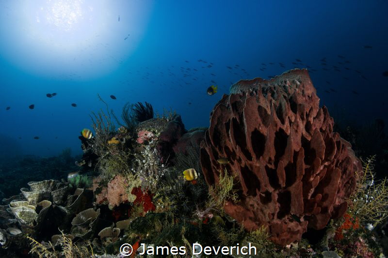 It's just nice to be in the water sometimes, this was one... by James Deverich 