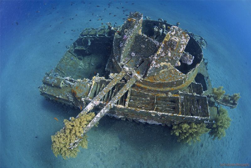 The Tank - Aqaba by Iyad Suleyman 