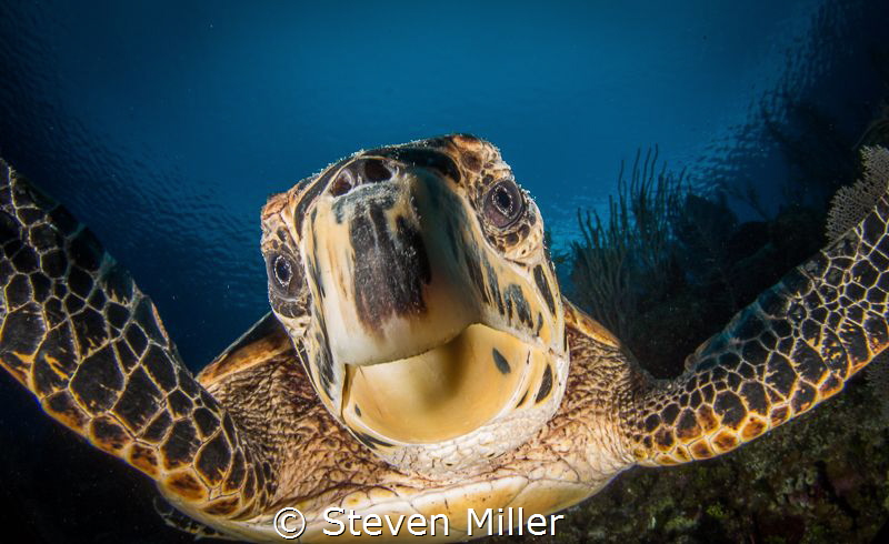 selfie :-) by Steven Miller 