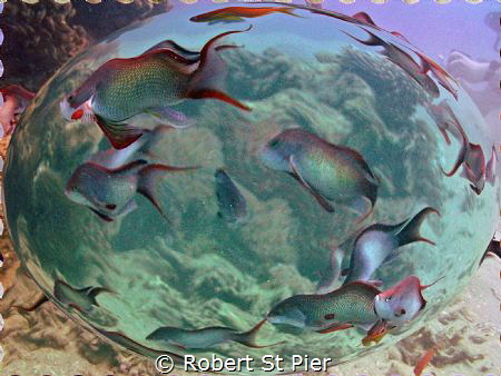 Taken in egypt by Robert St Pier 