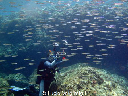 Scuba inside a school of fish by Lucio Valgimigli 