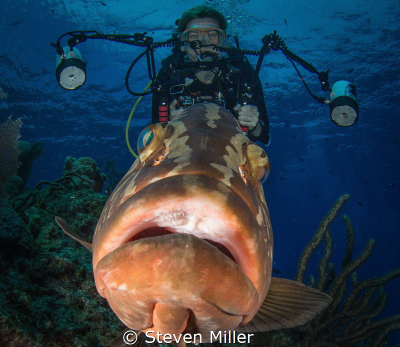 Giddyup! -forced perspective by Steven Miller 