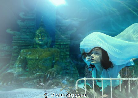 Escape in a Dream by Viola Krupova 