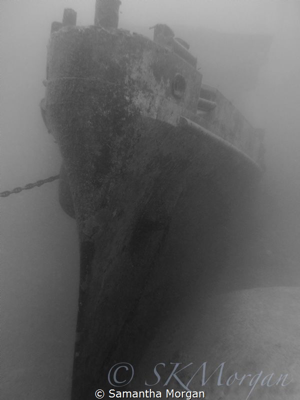 Bow of the Kittiwake, Grand Cayman 2014 by Samantha Morgan 