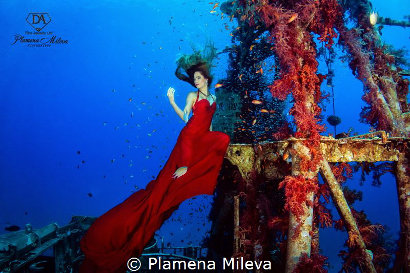 Impression in red by Plamena Mileva 