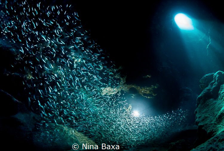 Silver Wave. by Nina Baxa 