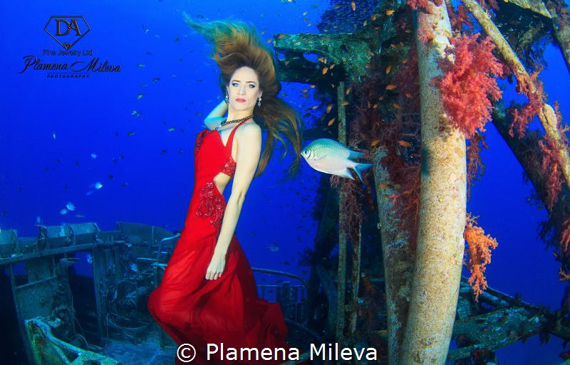 The reign of the beauty. by Plamena Mileva 