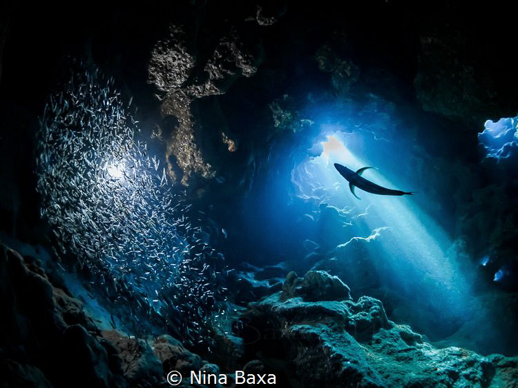 Hunter by Nina Baxa 