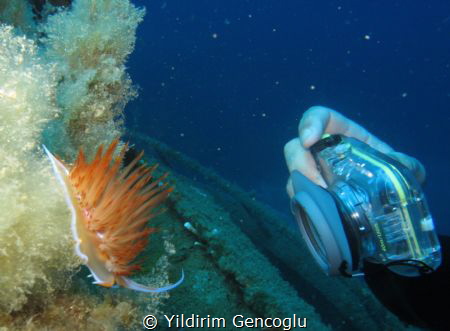 Photographer and Diva by Yildirim Gencoglu 