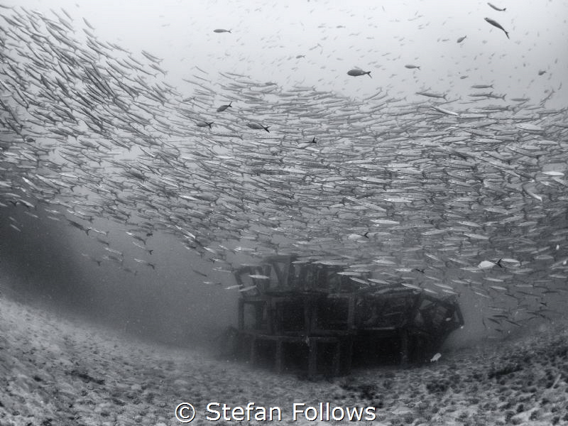 One Fish Two Fish Red Fish Blue Fish ... Dr Seuss. Chevro... by Stefan Follows 