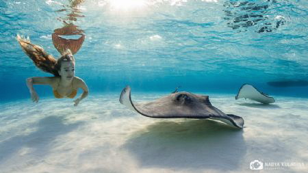 Chasing Rays by Nadya Kulagina 