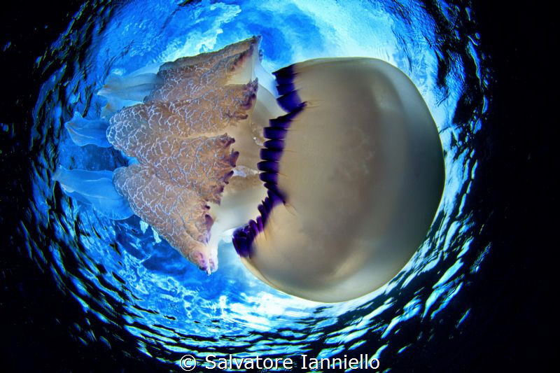 From below by Salvatore Ianniello 