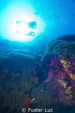 Divers in the sun... by Fuster Luc 