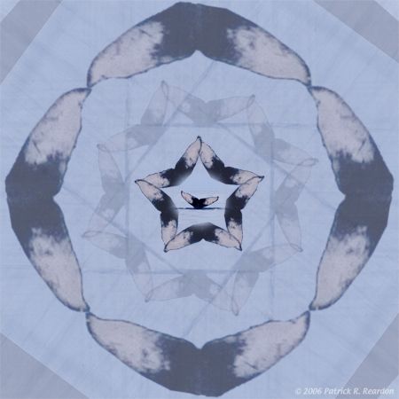 Repetitve images of the whale seen in the center. by Patrick Reardon 