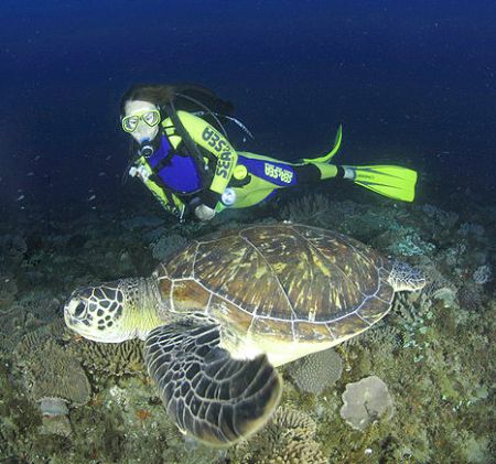 model and turtle on the move!using 16 mm fisheye to get u... by Fiona Ayerst 