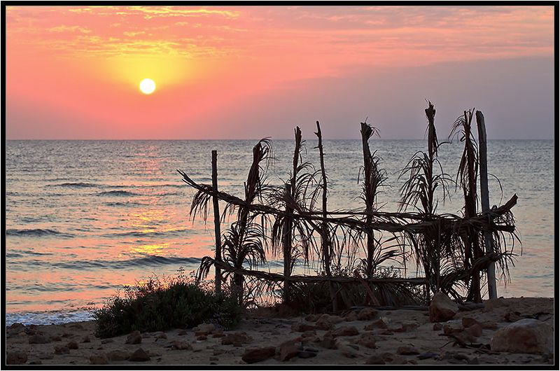 Red Sea. by Sergey Lisitsyn 