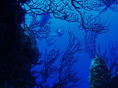 West side of Glovers Reef. by Martin Spragg 