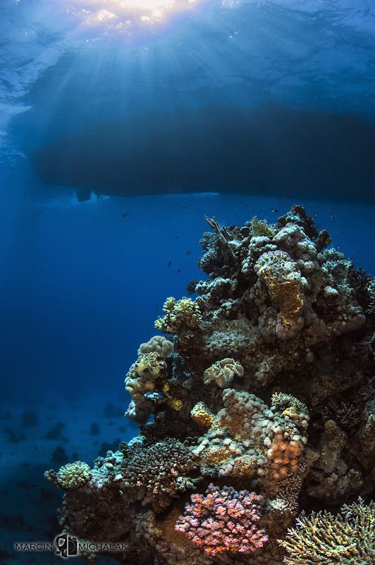 Red Sea View by Marcin Michalak 