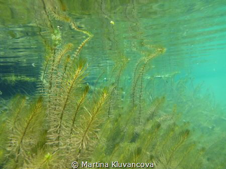 Fernsteinsee by Martina Kluvancova 