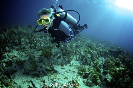 Canon Rebel T5i/700D, fisheye lens, Nauticam housing, dua... by Polly Alford 
