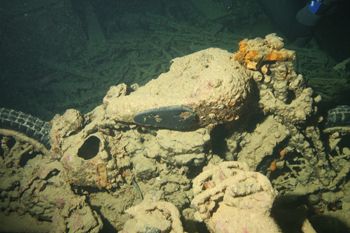 BSA bike inside Thisslegorm's belly by Richard Goluch 