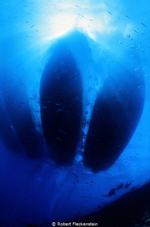 Dive Boats moored at Jackson Reef, Tiran, Red Sea, Egypt. by Robert Fleckenstein 