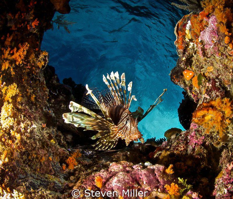 Looks can be deceiving; this is a straight up camera angl... by Steven Miller 