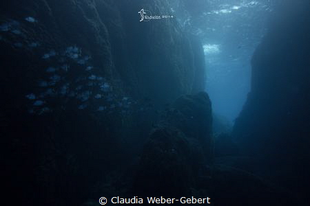 ambient light - les mèdes by Claudia Weber-Gebert 