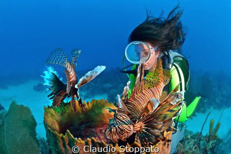 so near by Claudio Stoppato 