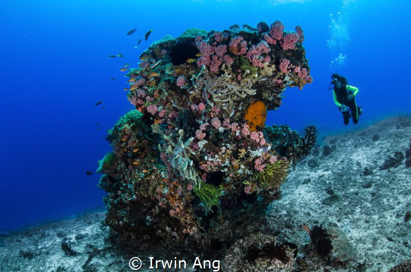 B L U E - W A T E R 
Sumilon Island, Cebu. Philippines 2014 by Irwin Ang 