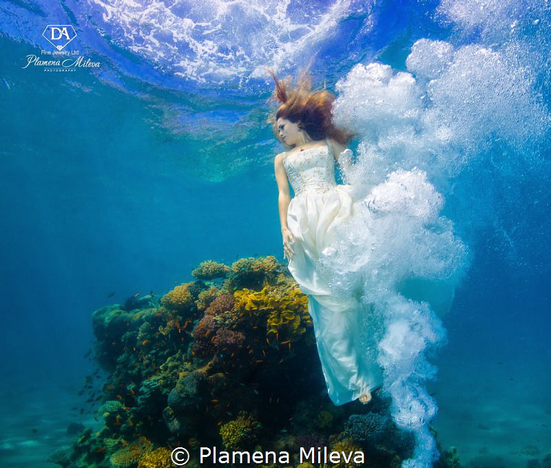 If Ever I See You Again by Plamena Mileva 