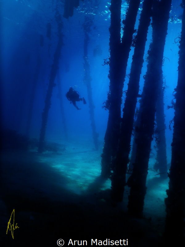 Under the pier at Cabrits National Park, with JC Ocean Ad... by Arun Madisetti 