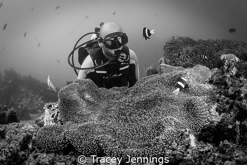 Face off .. by Tracey Jennings 
