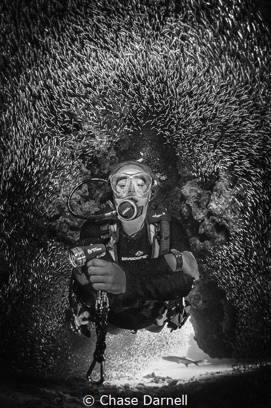 "This is Why" 
Moments like this, that's why we dive. by Chase Darnell 